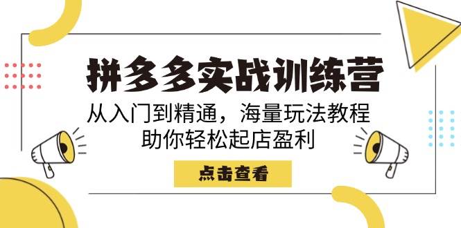 （14392期）拼多多实战训练营，从入门到精通，海量玩法教程，助你轻松起店盈利-玩备项目资源网