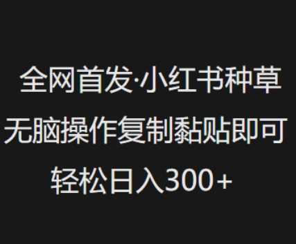 全网首发，小红书种草无脑操作，复制黏贴即可，轻松日入3张-玩备项目资源网