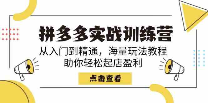 拼多多实战训练营，从入门到精通，海量玩法教程，助你轻松起店盈利-玩备项目资源网