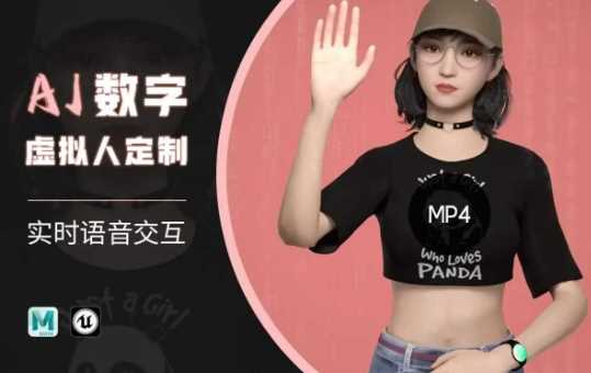 Ai数字人虚拟(智能体)实时语音交互特训营，​自行定制超写实角色AI数字人交互技术-玩备项目资源网