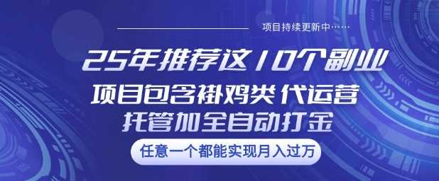 25年推荐这10个副业项目包含褂鸡类、代运营托管类、全自动打金类【揭秘】-玩备项目资源网