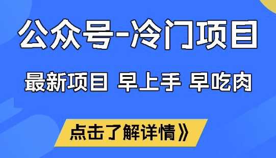 公众号冷门赛道，早上手早吃肉，单月轻松稳定变现1W【揭秘】-玩备项目资源网