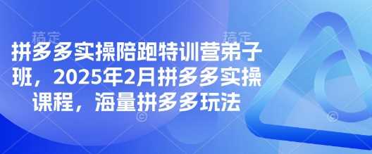 拼多多实操陪跑特训营弟子班，2025年2月拼多多实操课程，海量拼多多玩法-玩备项目资源网