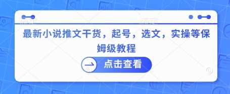 最新小说推文干货，起号，选文，实操等保姆级教程-玩备项目资源网