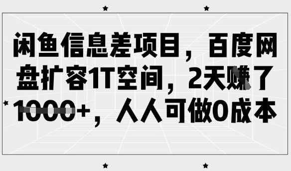 闲鱼信息差项目，百度网盘扩容1T空间，2天收益1k+，人人可做0成本-玩备项目资源网