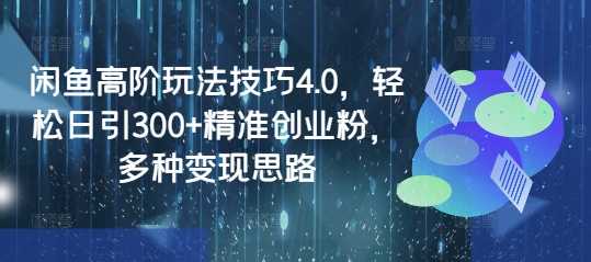 闲鱼高阶玩法技巧4.0，轻松日引300+精准创业粉，多种变现思路-玩备项目资源网