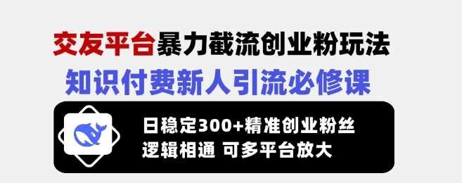 交友平台暴力截流创业粉玩法，知识付费新人引流必修课，日稳定300+精准创业粉丝，逻辑相通可多平台放大-玩备项目资源网