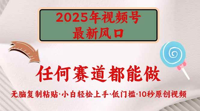 （14453期）2025年视频号新风口，低门槛只需要无脑执行-玩备项目资源网
