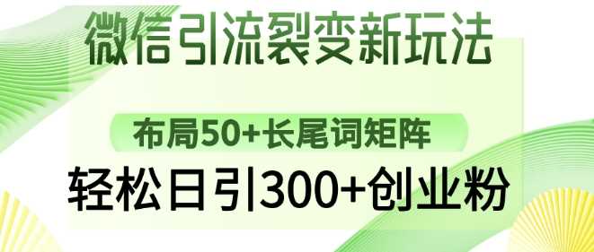 微信引流裂变新玩法：布局50+长尾词矩阵，轻松日引300+创业粉-玩备项目资源网