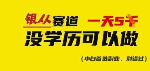 靠银从证书，日入多张，会截图就能做，直接抄答案(附：银从合集)-玩备项目资源网