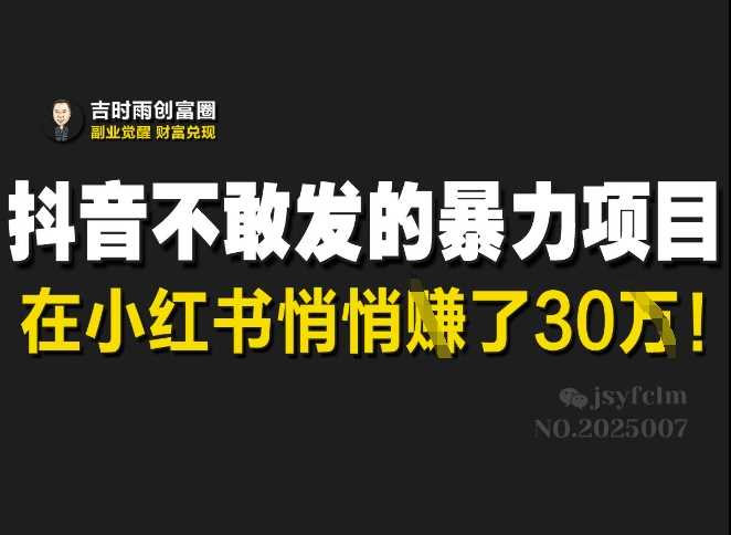 抖音不敢发的暴利项目，在小红书悄悄挣了30W-玩备项目资源网