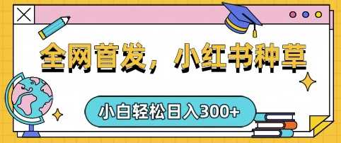 小红书种草，手机项目，日入3张，复制黏贴即可，可矩阵操作，动手不动脑【揭秘】-玩备项目资源网