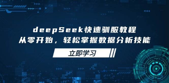 （14536期）deepSeek快速驯服教程，从零开始，轻松掌握数据分析技能-玩备项目资源网