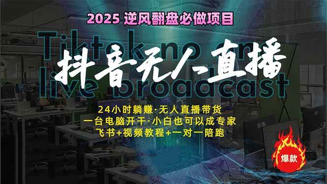 （14539期）抖音无人直播新风口：轻松实现睡后收入，一人管理多设备，24小时不间断…-玩备项目资源网