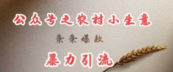deepseek写农村小项目，条条爆款，暴力引流-玩备项目资源网