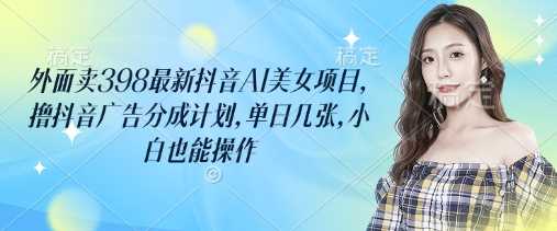 外面卖398最新抖音AI美女项目，撸抖音广告分成计划，单日几张，小白也能操作-玩备项目资源网