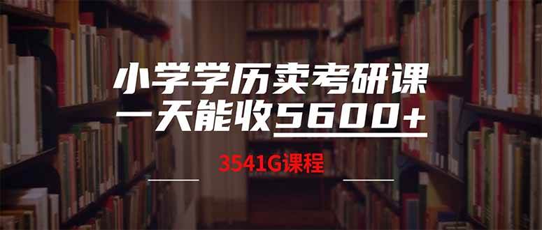 （14561期）小学学历卖考研课程，一天收5600（附3580G考研合集）-玩备项目资源网