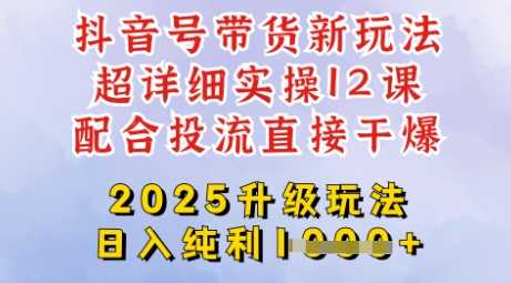 2025全新升级抖音带货玩法，一天纯利四位数，从剪辑到选品再到发布投流，超详细玩法揭秘-玩备项目资源网
