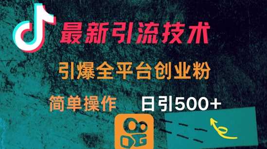 最新引流方法，引爆全平台的一个创业粉，简单操作日引300+-玩备项目资源网