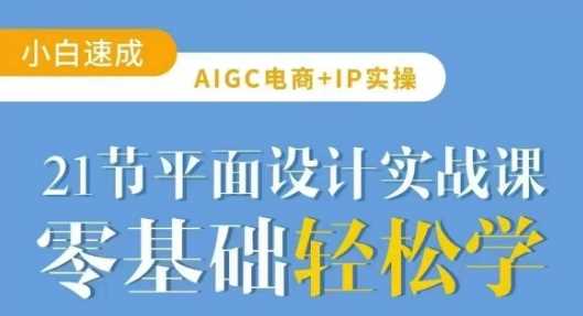 AIGC电商必备实操21节平面设计实战课，教你玩转AI-玩备项目资源网