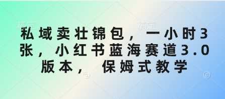 私域卖壮锦包，一小时3张，小红书蓝海赛道3.0版本， 保姆式教学-玩备项目资源网