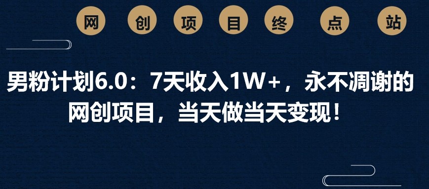 男粉计划6.0：7天收入1W+，永不凋谢的网创项目，当天做当天变现！-玩备项目资源网
