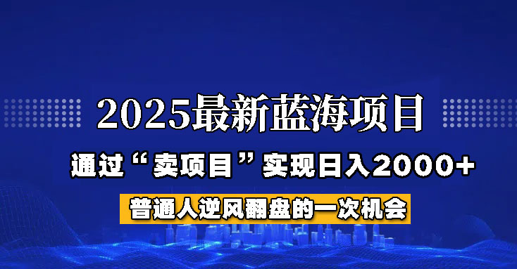 2025年蓝海项目，如何通过“网创项目”日入2000+-玩备项目资源网