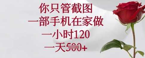 你只管截图，一部手机在家做，一小时120.一天5张【揭秘】-玩备项目资源网