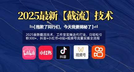 2025最新截流技术，工作室实操迭代打法，日轻松引粉300+，抖音+小红书+B站+视频号流量实操全流程-玩备项目资源网