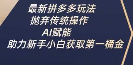 最新拼多多玩法，抛弃传统操作，AI赋能，助力新手小白获取第一桶金-玩备项目资源网