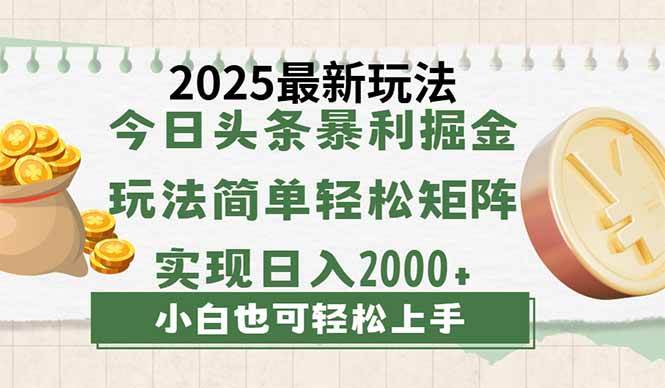 （14120期）今日头条2025最新玩法，思路简单，复制粘贴，轻松实现矩阵日入2000+-玩备项目资源网