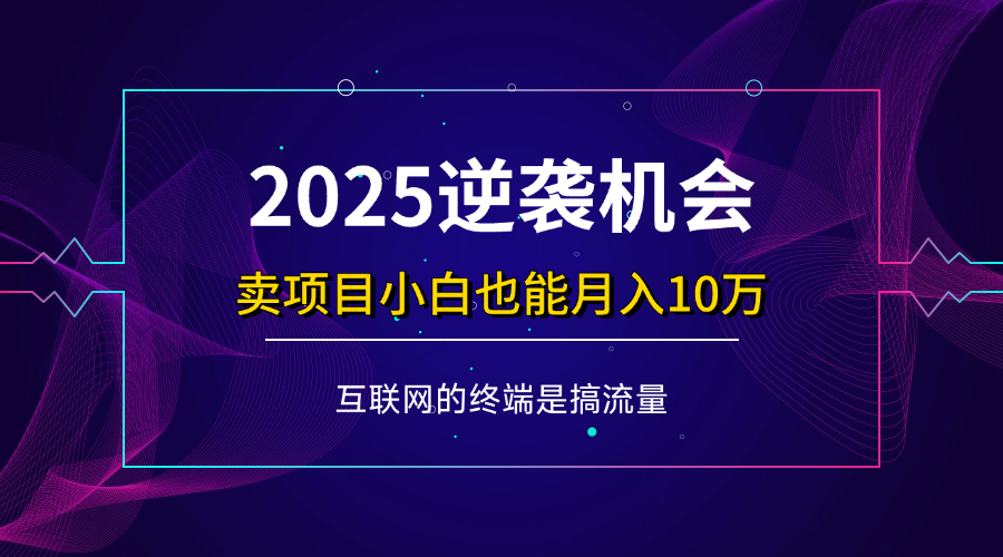 （14122期）项目标题：2025逆袭机会，卖项目小白也能轻松月入10万+-玩备项目资源网
