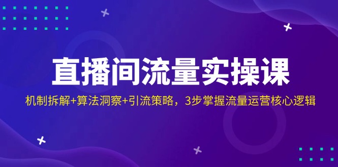 （14122期）直播间流量实操课：机制拆解+算法洞察+引流策略，3步掌握流量运营核心逻辑-玩备项目资源网