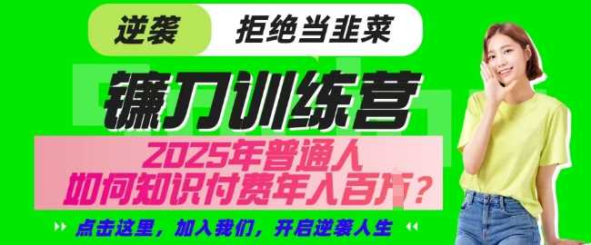 【网创项目终点站-镰刀训练营超级IP合伙人】25年普通人如何通过知识付费实现逆袭【揭秘】-玩备项目资源网