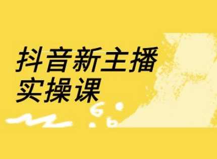 抖音新主播实操课，直播间流量运营线上实操课(18节)-玩备项目资源网