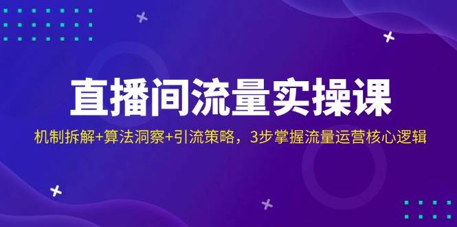 直播间流量实操课：机制拆解+算法洞察+引流策略，3步掌握流量运营核心逻辑-玩备项目资源网
