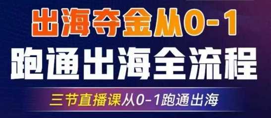 2025出海夺金从0-1跑通出海全流程，三节直播课从0-1跑通出海，教你用AI跑通全流程-玩备项目资源网