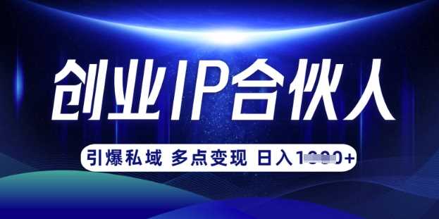 云帆·创业ip合伙人打造3.0，从0到1教你做网创，实现月入过W-玩备项目资源网