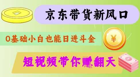 最新京东短视频带货代运营秘籍，轻松躺挣【揭秘】-玩备项目资源网