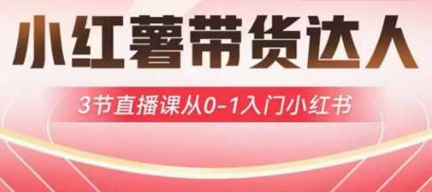 小红薯达人带货启航计划，3节直播课从0-1入门小红书-玩备项目资源网