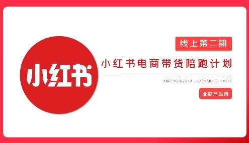2025小红书虚拟电商实战课，从0到1打造无货源店铺，AI+爆款笔记轻松变现-玩备项目资源网