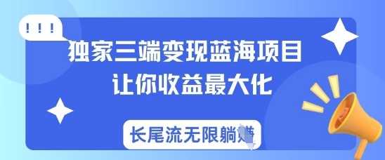 独家三端变现蓝海项目，让你收益最大化，长尾流无限躺挣-玩备项目资源网