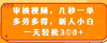 审核视频，几秒一单，多劳多得，新人小白一天轻松3张【揭秘】-玩备项目资源网