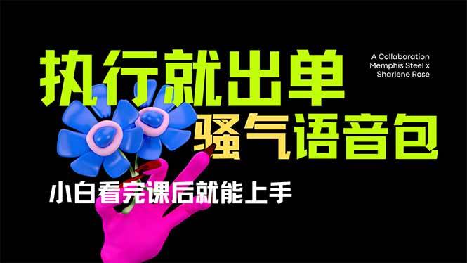 （14170期）爆火全网的开车导航骚气语音包,只要执行就出单，小白看完课程就能实操…-玩备项目资源网