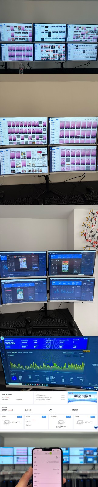 图片[2]-实操项目合集 挂机类型 直播类型 轻资产创业类型 课程分享各项目介绍和原理-玩备项目资源网