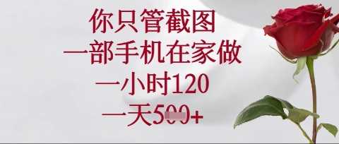 你只管截图，一部手机在家操作，一小时120.一天5张【揭秘】-玩备项目资源网