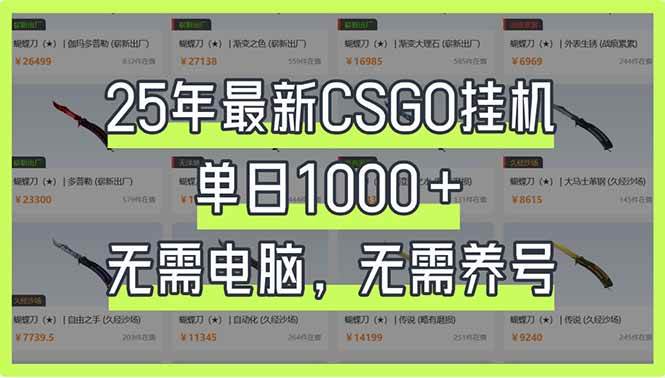 （14178期）25年最新CSGO挂机系统，单日1000+，无需电脑，无需养号，0基础可上手-玩备项目资源网
