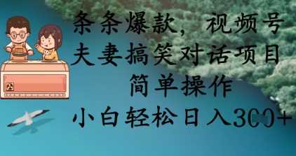 条条爆款，视频号夫妻搞笑对话项目，简单操作，小白轻松日入3张+-玩备项目资源网