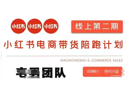 小红书电商带货课2期，月利润20个的小红书电商的有货源，无货源，虚拟产品，付费投流等整套玩法-玩备项目资源网