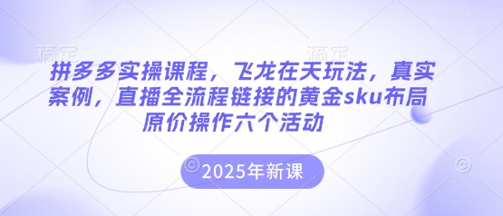 拼多多实操课程，飞龙在天玩法，真实案例，直播全流程链接的黄金sku布局原价操作六个活动-玩备项目资源网